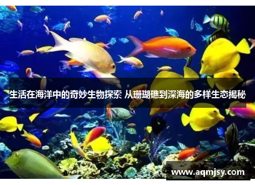 生活在海洋中的奇妙生物探索 从珊瑚礁到深海的多样生态揭秘