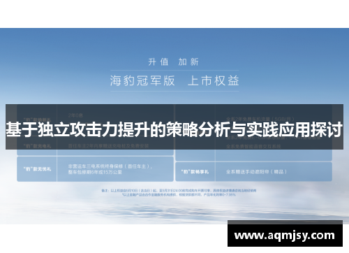 基于独立攻击力提升的策略分析与实践应用探讨