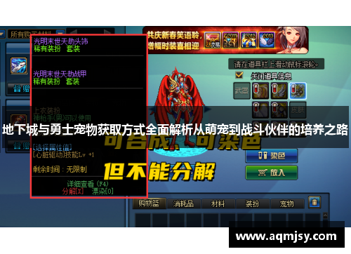 地下城与勇士宠物获取方式全面解析从萌宠到战斗伙伴的培养之路